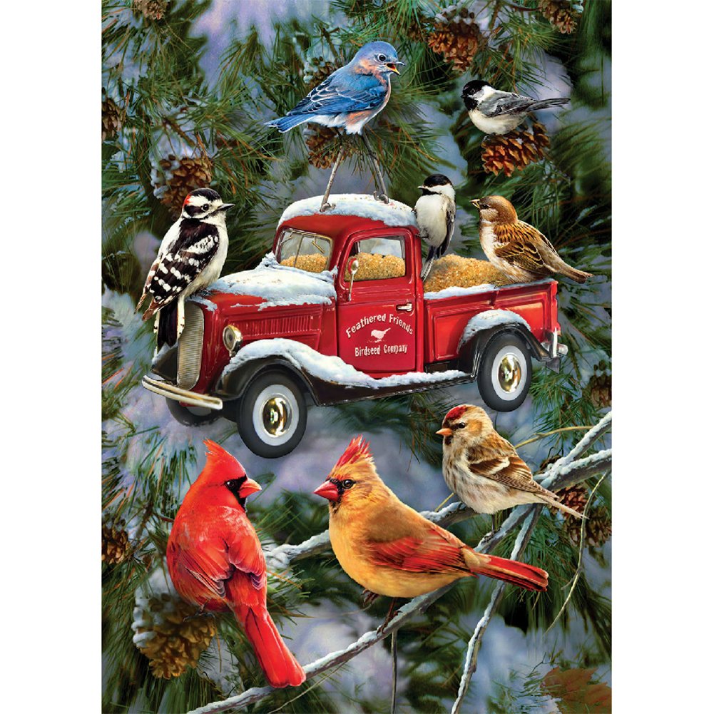 5D Diy Diamond Painting Kit Full Round Beads Car Birds