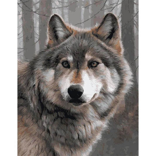 Gray Wolf Acrylic Painting By Number (40*50cm)