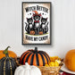 Diamond Painting - Full Round / Square - Halloween Witch Cat (30*45cm)