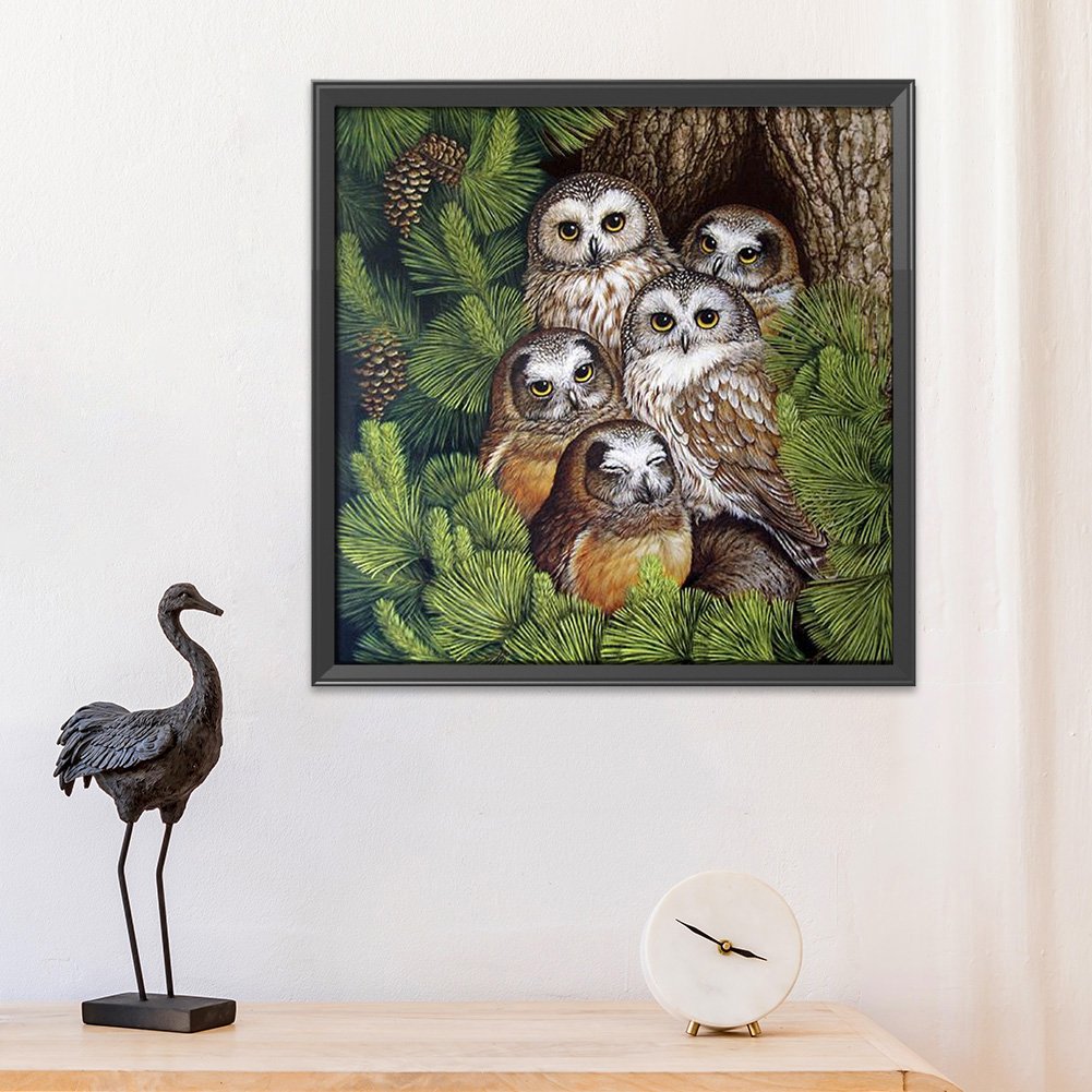 11ct Stamped Cross Stitch - Owl(48*48cm)