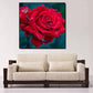 Diamond Painting - Partial Round - Red Rose 1