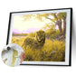 Paint By Number Oil Painting Big Lion (40*50cm)