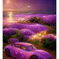 Full Round/Square Diamond Painting Kits | Flower Car 40x70cm 50x80cm