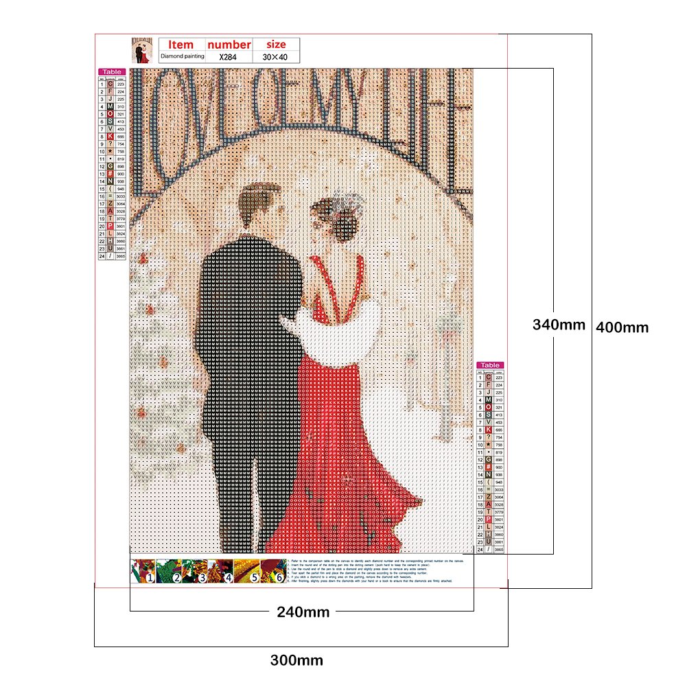 Diamond Painting - Full Round - Noble Lady C