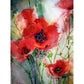 Diamond Paintings Art Full Drill Poppy Flower