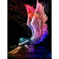 Diamond Paintings Art Full Drill Lost Angel