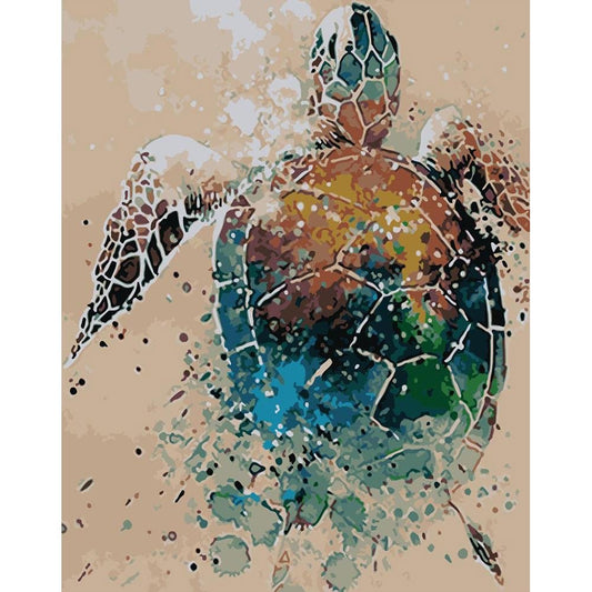 Paint By Number Oil Painting Tortoise (40*50cm)