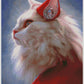 Full Round/Square Diamond Painting Kits | Cat 50x70cm 60x80cm H