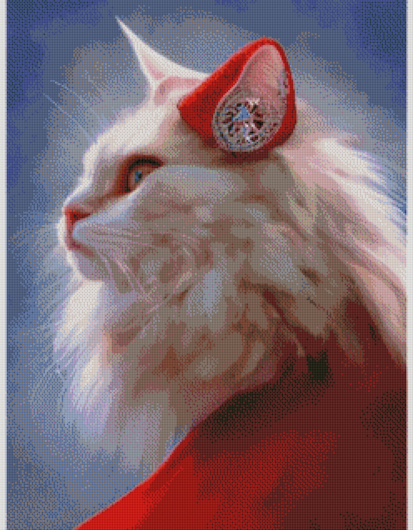 Full Round/Square Diamond Painting Kits | Cat 50x70cm 60x80cm H