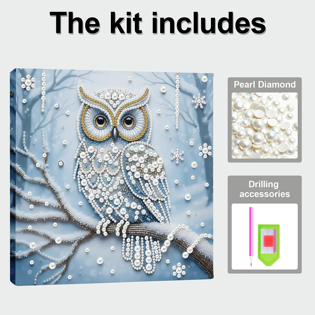 DIY Pearl Painting With Frame - Handmade Self-Adhesive Pearls - Owl (25*25cm) B