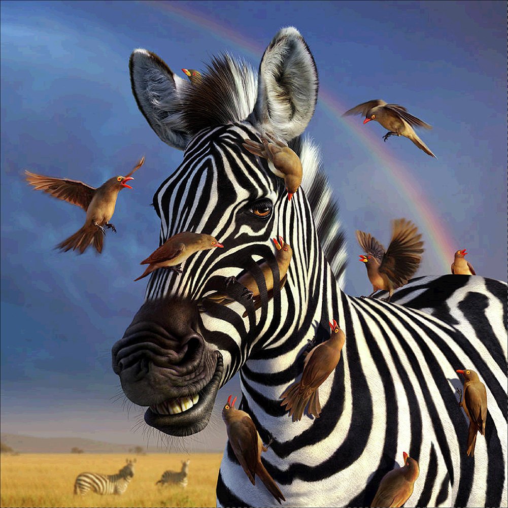 Diamond Painting - Full Round - Zebra A