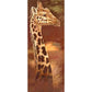 Diamond Paintings Art Full Drill Animals