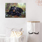 Diamond Painting - Full Round - Black Bear B