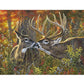 5D Diy Diamond Painting Kit Full Round Beads A Pair of Deer