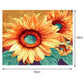 Paint By Number - Oil Painting - Sunflower (40*50cm) C