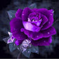 Diamond Painting Partial Round Purple Rose