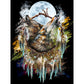 5D DIY Diamond Drawing Kit Wolf Dream Catcher