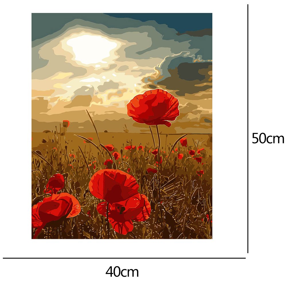 Paint By Number - Oil Painting - Flower (40*50cm) C