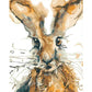 Painting By Number Rabbit Hand Painted Canvas Oil Art Picture