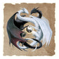 5D Diy Diamond Painting Kit Full Round Beads Black White Dragon