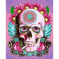 Paint By Number Kits for Beginners Oil Painting Skeleton (40*50cm)
