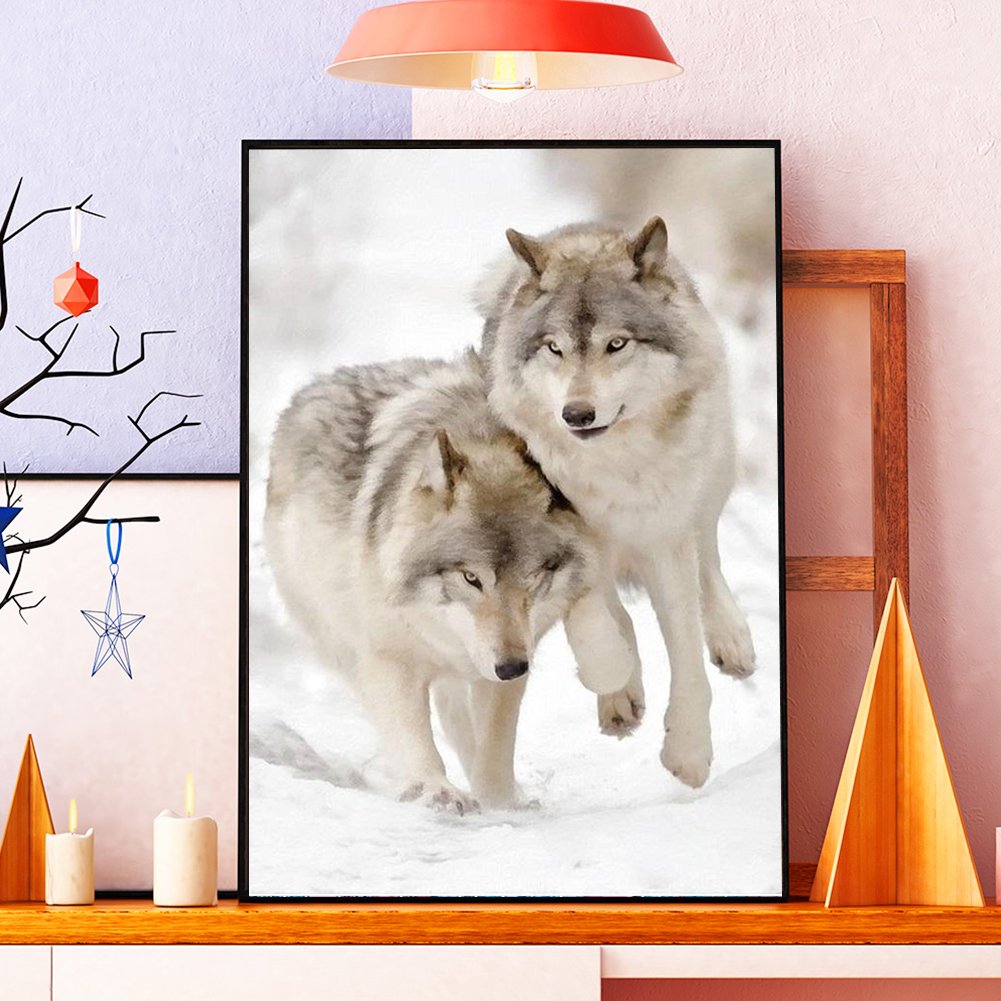 Paint By Number - Oil Painting - Wolf (40*50cm) E
