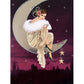 11CT Stamped Cross Stitch Elegant Lady Needle Art (30*40CM)