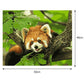 Animal on Tree Paint By Number Oil Painting Wall Picture Home Decor
