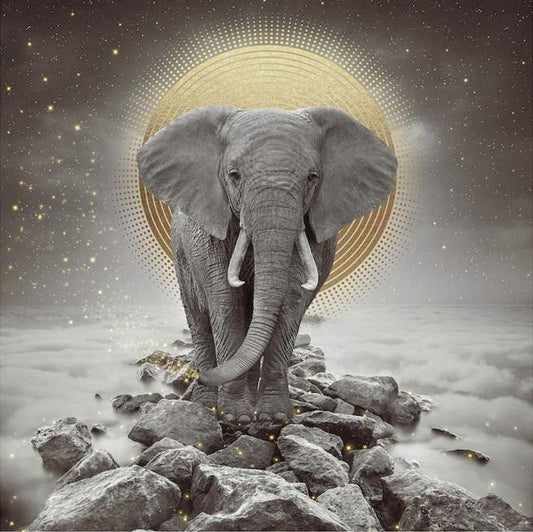 Diamond Painting - Full Round - Elephant A