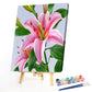 Special Flower 40x50cm Oil Paint By Numbers Picture DIY Painting