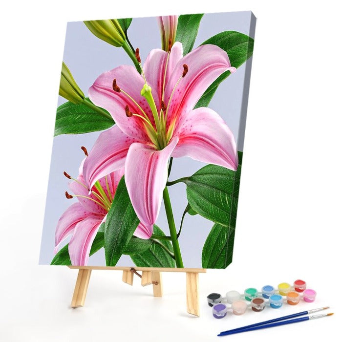 Special Flower 40x50cm Oil Paint By Numbers Picture DIY Painting