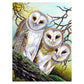 11ct Stamped Cross Stitch Owl(36*46cm)