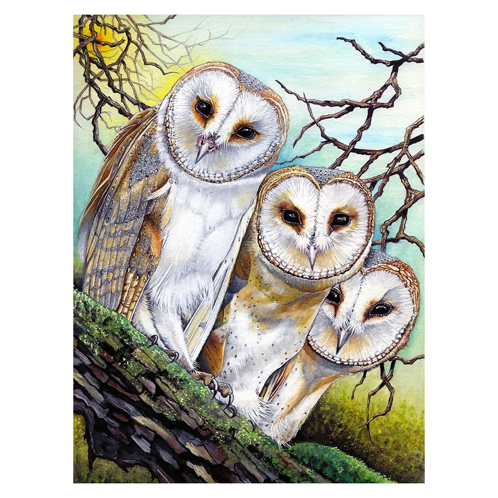 11ct Stamped Cross Stitch Owl(36*46cm)