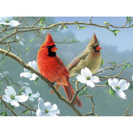 5D Diy Diamond Painting Kit Full Round Beads Birds