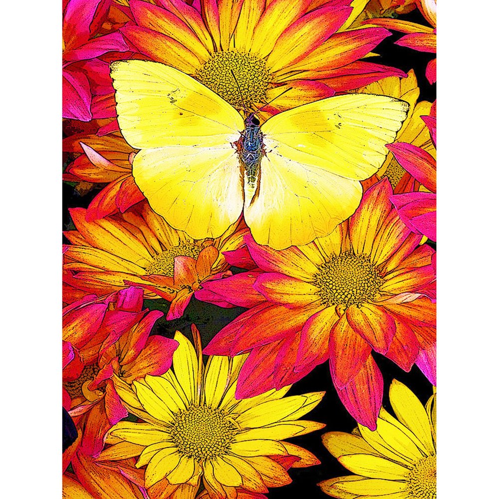 flower and butterfly diamond art kit