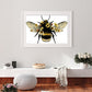 Diamond Painting - Full Round - Bee