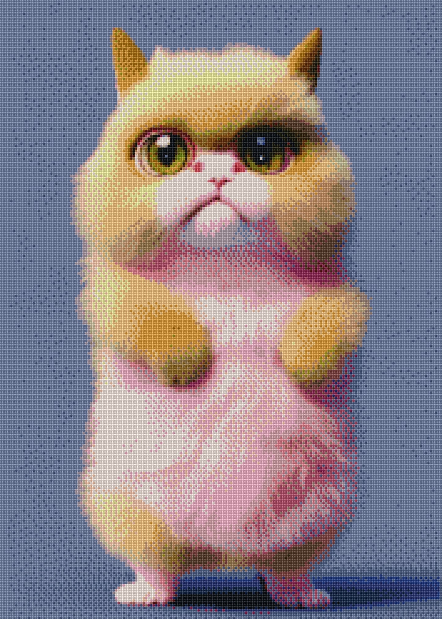 Full Round/Square Diamond Painting Kits | Cat 50x70cm 60x80cm C