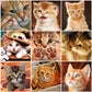 painting with diamonds full drill canvas from cats images