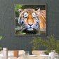 Diamond Painting - Full Round - Tiger D
