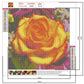 Diamond Painting - Full Round - Yellow Rose