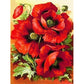 Diamond Paintings Art Full Drill Poppy Flower