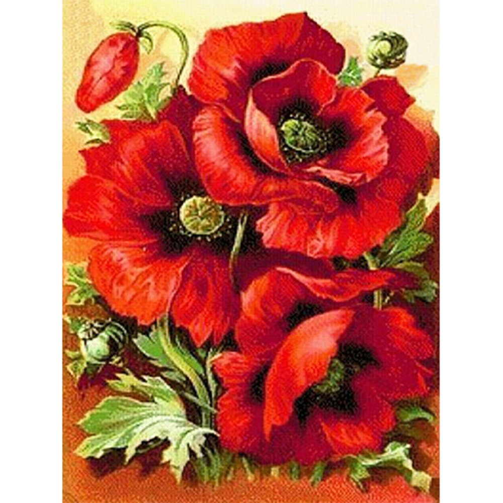 Diamond Paintings Art Full Drill Poppy Flower