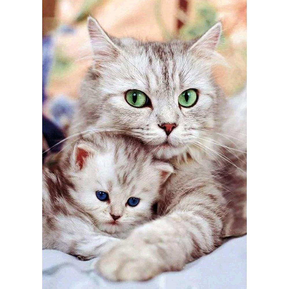 5D DIY Diamond Painting Kit Full Round Drill Cats