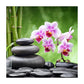 5D Diy Diamond Painting Kit Full Round Beads Stone Flower