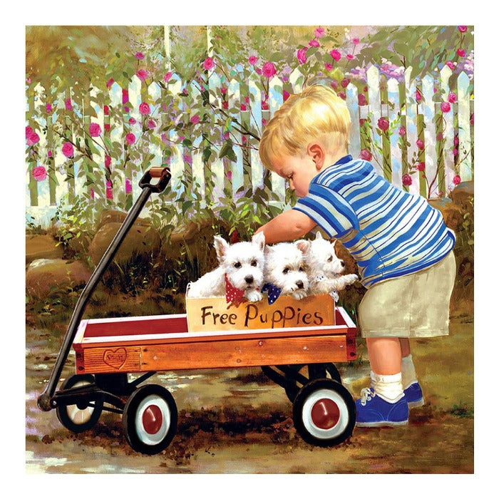 Paint By Number Oil Painting Boy Car Dogs (40*40cm)