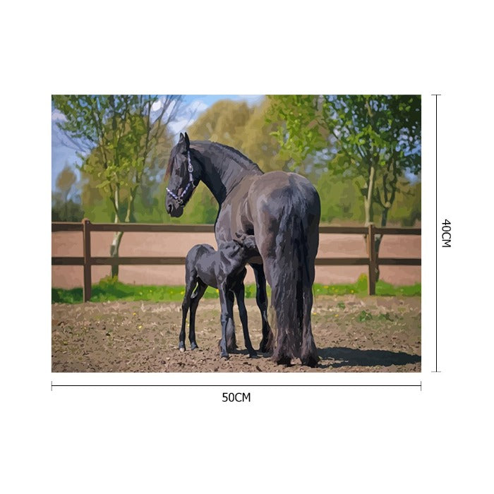 Feeding Horse Hand Painted Artwork Canvas Digital Oil Art Picture