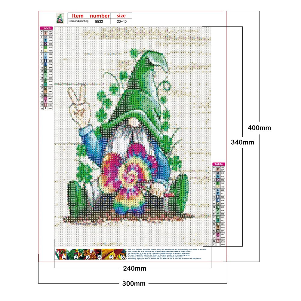 5D DIY Diamond Painting Kit - Full Round -Gnome A