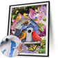 Paint By Number Oil Painting Home Wall Decor Bird House (40*50cm)