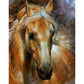 5D Diy Diamond Painting Kit Full Round Beads Horse