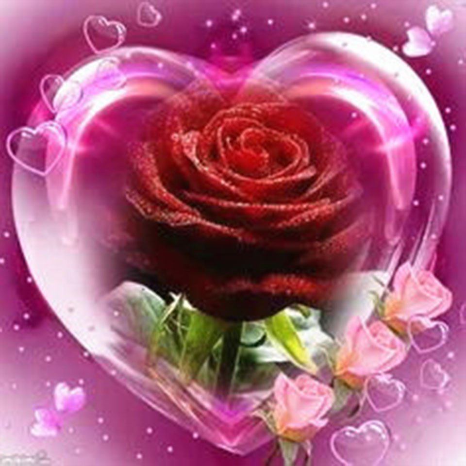 Diamond Paintings Art Full Drill Rose Heart